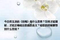 今日费玉清的《剪梅》是什么意思？怎样才能理解，才能正确唱出歌曲的含义？唱歌的时候要想到什么意境？