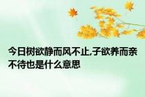 今日树欲静而风不止,子欲养而亲不待也是什么意思