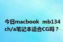 今日macbook  mb134ch/a笔记本适合CG吗？