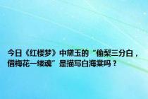 今日《红楼梦》中黛玉的“偷梨三分白，借梅花一缕魂”是描写白海棠吗？