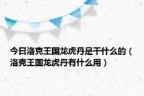 今日洛克王国龙虎丹是干什么的（洛克王国龙虎丹有什么用）