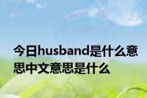 今日husband是什么意思中文意思是什么