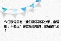 今日歌词里有“我们能不能不分手，亲爱的，不要走”的歌是谁唱的，歌名是什么？