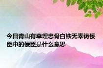 今日青山有幸埋忠骨白铁无辜铸佞臣中的佞臣是什么意思