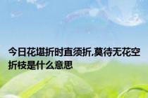 今日花堪折时直须折,莫待无花空折枝是什么意思