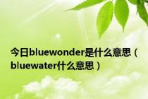 今日bluewonder是什么意思（bluewater什么意思）