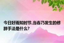 今日好雨知时节,当春乃发生的修辞手法是什么?