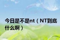 今日是不是nt（NT到底什么啊）