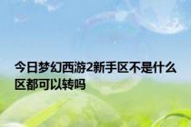 今日梦幻西游2新手区不是什么区都可以转吗