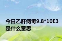 今日乙肝病毒9.8*10E3是什么意思