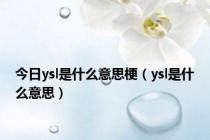 今日ysl是什么意思梗（ysl是什么意思）