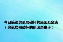 今日简述臭氧层破坏的原因及危害（臭氧层被破坏的原因是由于）