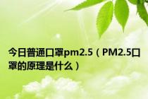 今日普通口罩pm2.5（PM2.5口罩的原理是什么）