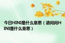 今日HINI是什么意思（请问问HINI是什么意思）