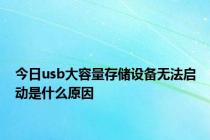 今日usb大容量存储设备无法启动是什么原因