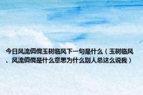 今日风流倜傥玉树临风下一句是什么（玉树临风、风流倜傥是什么意思为什么别人总这么说我）