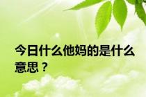 今日什么他妈的是什么意思？