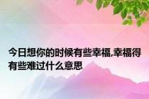 今日想你的时候有些幸福,幸福得有些难过什么意思