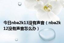 今日nba2k13没有声音（nba2k12没有声音怎么办）