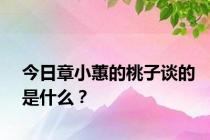 今日章小蕙的桃子谈的是什么？