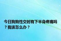 今日狗狗性交时有下半身疼痛吗？我该怎么办？