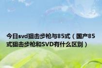 今日svd狙击步枪与85式（国产85式狙击步枪和SVD有什么区别）