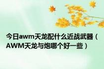 今日awm天龙配什么近战武器（AWM天龙与炮哪个好一些）