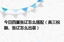 今日四星张辽怎么搭配（真三祝融、张辽怎么出装）