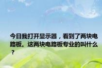 今日我打开显示器，看到了两块电路板。这两块电路板专业的叫什么？