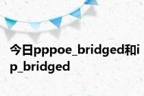 今日pppoe_bridged和ip_bridged