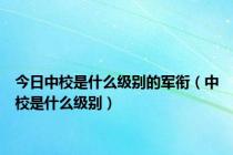 今日中校是什么级别的军衔（中校是什么级别）