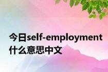 今日self-employment什么意思中文