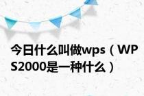 今日什么叫做wps（WPS2000是一种什么）