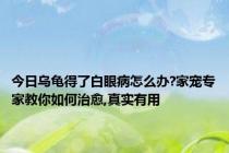 今日乌龟得了白眼病怎么办?家宠专家教你如何治愈,真实有用