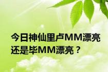 今日神仙里卢MM漂亮还是毕MM漂亮？