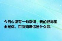 今日心里有一句歌词，我的世界里全是你。百度知道你是什么歌。