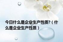 今日什么是企业生产性质?（什么是企业生产性质）