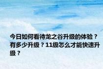 今日如何看待龙之谷升级的体验？有多少升级？11级怎么才能快速升级？