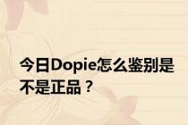 今日Dopie怎么鉴别是不是正品？