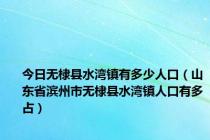 今日无棣县水湾镇有多少人口（山东省滨州市无棣县水湾镇人口有多占）