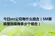 今日sm公司有什么组合（SM家族里到底有多少个组合）