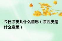 今日凉皮儿什么意思（凉西皮是什么意思）