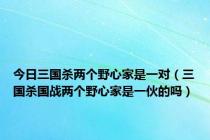 今日三国杀两个野心家是一对（三国杀国战两个野心家是一伙的吗）