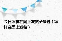 今日怎样在网上发帖子挣钱（怎样在网上发帖）