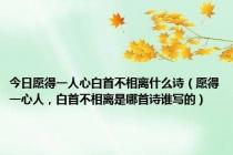 今日愿得一人心白首不相离什么诗（愿得一心人，白首不相离是哪首诗谁写的）