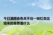 今日满园春色关不住一枝红杏出墙来的意思是什么