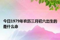 今日1979年农历三月初六出生的是什么命