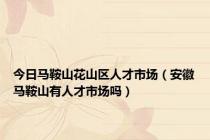 今日马鞍山花山区人才市场（安徽马鞍山有人才市场吗）