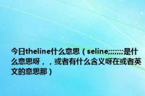 今日theline什么意思（seline;;;;;;;是什么意思呀，，或者有什么含义呀在或者英文的意思那）