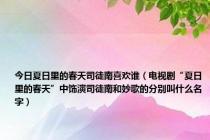 今日夏日里的春天司徒南喜欢谁（电视剧“夏日里的春天”中饰演司徒南和妙歌的分别叫什么名字）